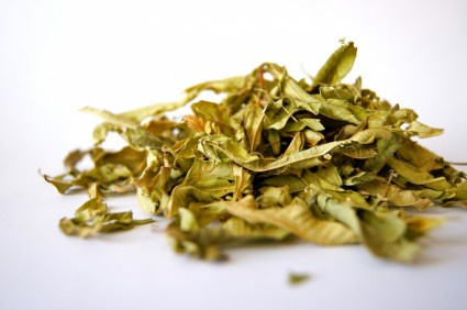 herbata zioła przyprawy