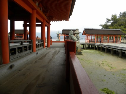 معبد اليابان المجلس