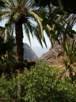 Tenerife natura isole Canarie