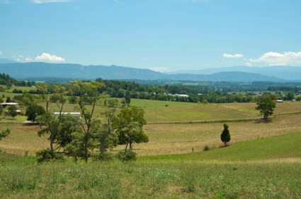 montagne di paesaggio Tennessee