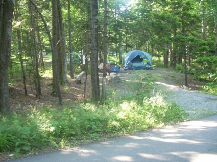 tenda al campeggio di muschio
