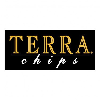 Terra chip