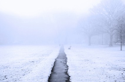 der englische Winter-Nebel