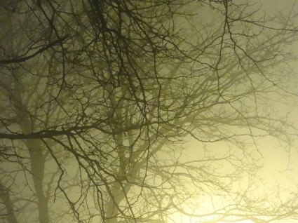 霧の中