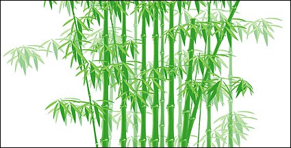 Yeşil Bambu vektör malzeme
