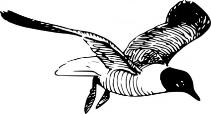 a arte de clipe de gaivota rindo
