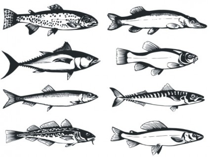 der monochrome Fisch-Vektor