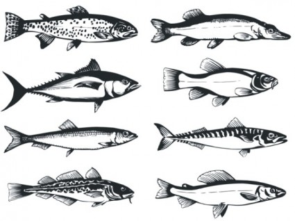 le vecteur de poissons monochromes