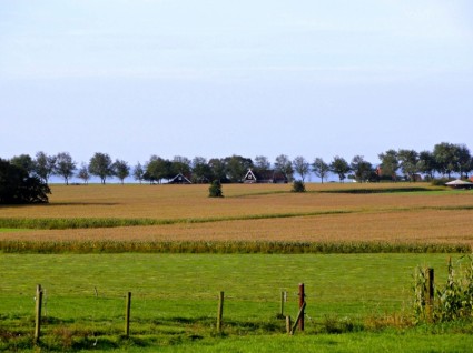 os campos de paisagem de Holanda