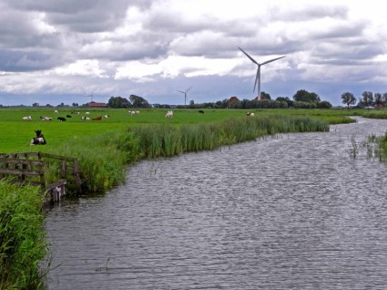 o Rio de paisagem de Holanda