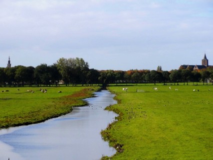 Holandia krajobraz strumienia