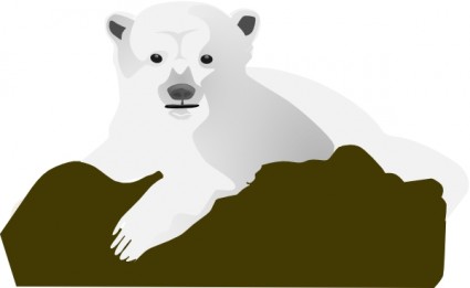 الدب القطبي القصاصة الفنية