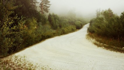 die Straße im Wald