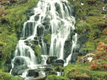 la naturaleza de las cascadas de fuente wallpaper