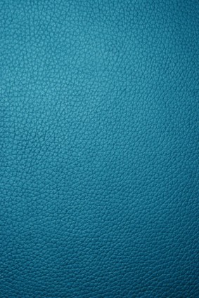 The Texture Of The Leather Definition Picture