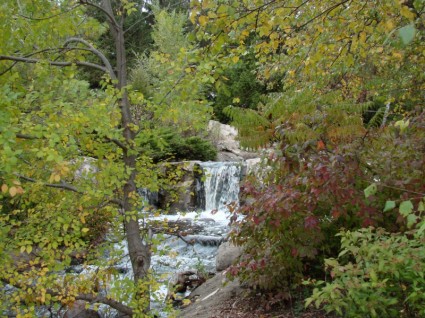 der Wasserfall im Herbst