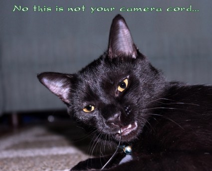 Dies ist nicht Ihre Kamera-Kabel