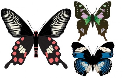 tiga kupu-kupu indah vektor