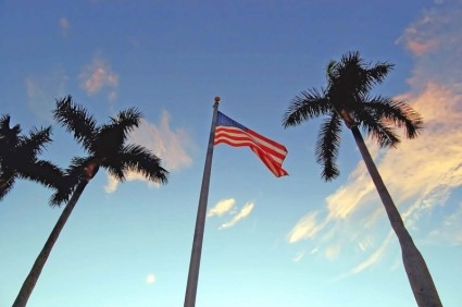 drei Palmen und Flagge
