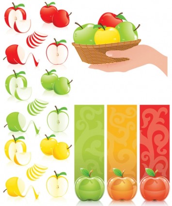 Threecolor Apple Vector
