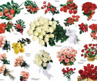 109 Colored Roses Picture