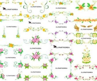 16 Flores De Vector Y Patrón De Encaje