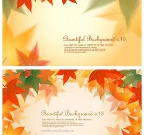 2 Maple Leaf Background Vector