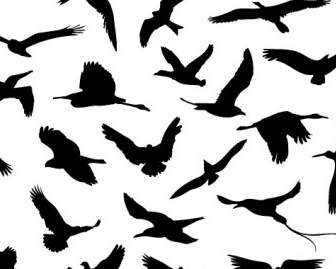 30 различных летящие птицы