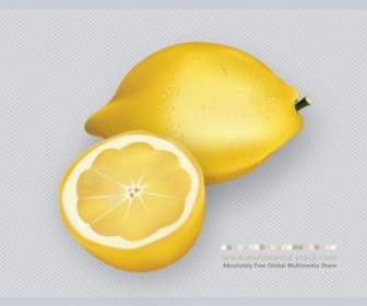 3d 檸檬水果向量