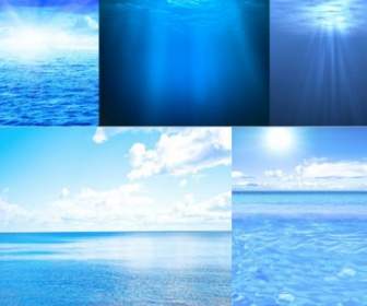 高品質な写真の 5 美しい海