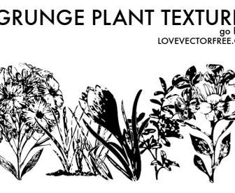 5 Texturas De Planta De Grunge De La Lvf