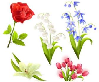 5 漂亮的花卉向量