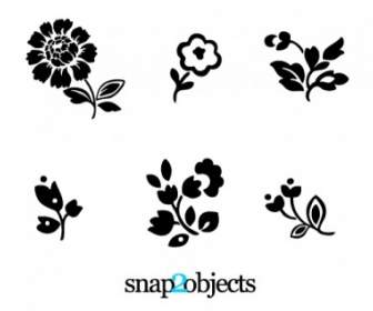 6 Floral Vector