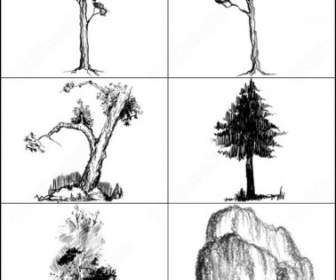 6 Hi Res Doodled Szczotki Drzew