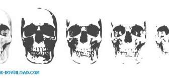 6 Layer Skull
