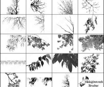 60 Cabang-cabang Pohon Photoshop Kuas