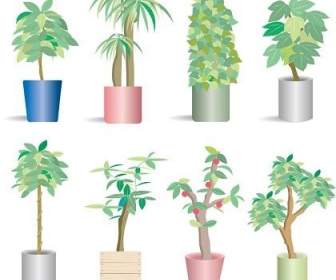 66 Potted Plants Vector