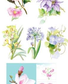 7 Elegant Watercolor Flowers Vector