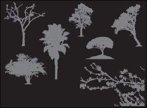 7 Silhouettes D'arbre