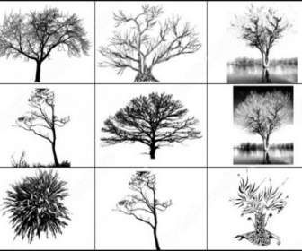 9 Baum Pinsel