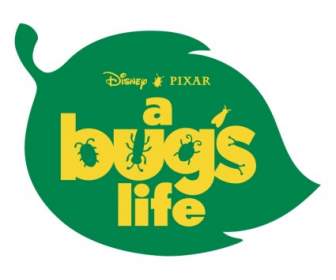 Hidup Bugs