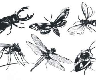 A Monochrome Insect Vector