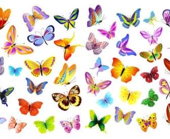 مجموعة متنوعة من الفراشات الجميلة متجه