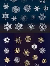 A Variety Of Beautiful Snowflakes Vector