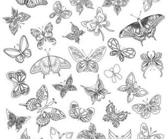 مجموعة متنوعة من الفراشات المتجهات