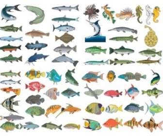 A Variety Of Fish Vector