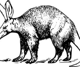 Clip-art Aardvark