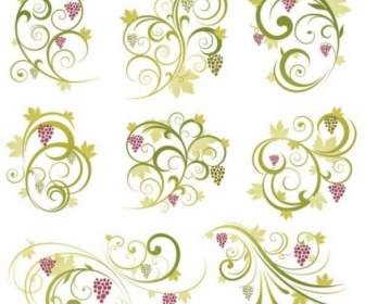 Abstract Floral Vine Grape Ornament Vector