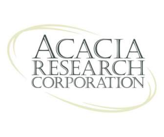 Investigación De Acacia