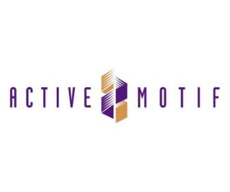 Motif Active